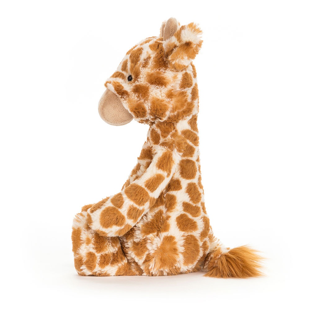 Alternative view of Bashful Giraffe