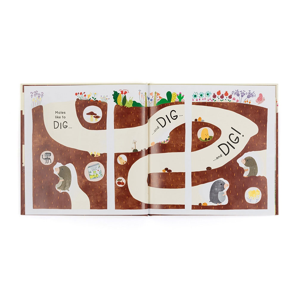 Alternative view of Muswell Mole and the Buried Treasure Book