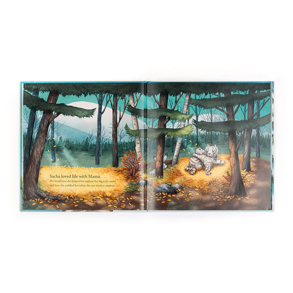 Alternative view of Sacha and the Most Wonderful Thing Book