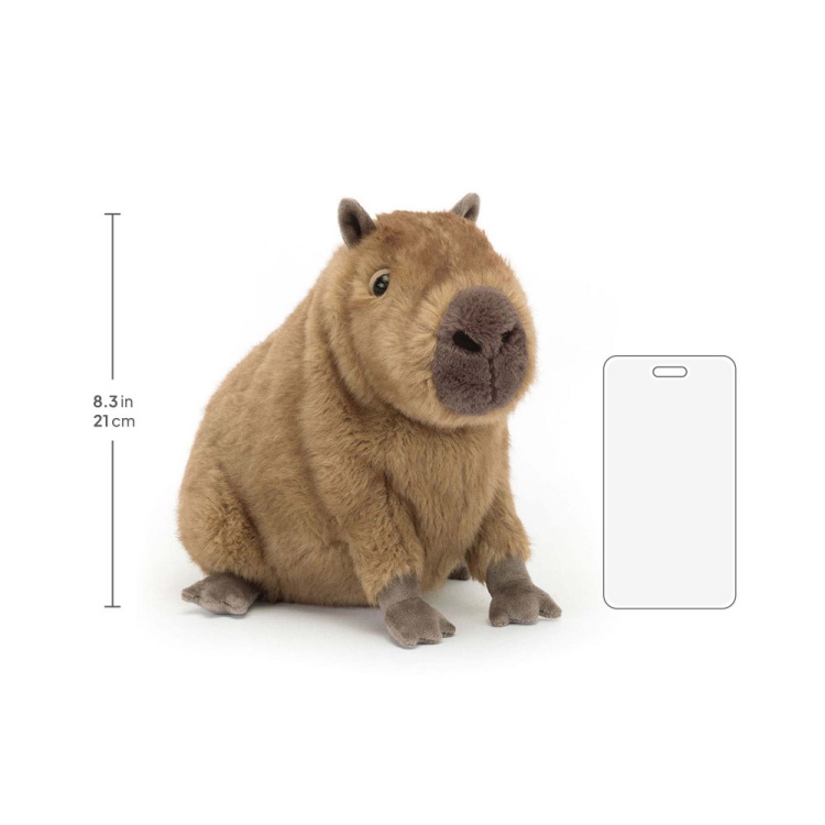 Clyde Capybara - Image 5