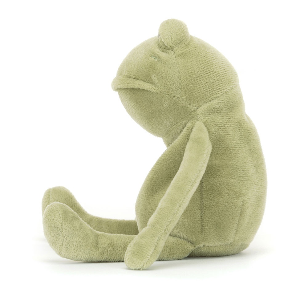 Fergus Frog - Image 5