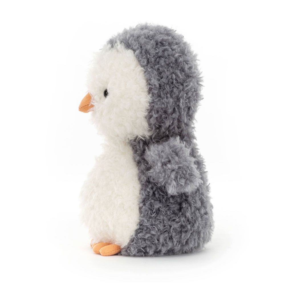 Alternative view of Little Penguin