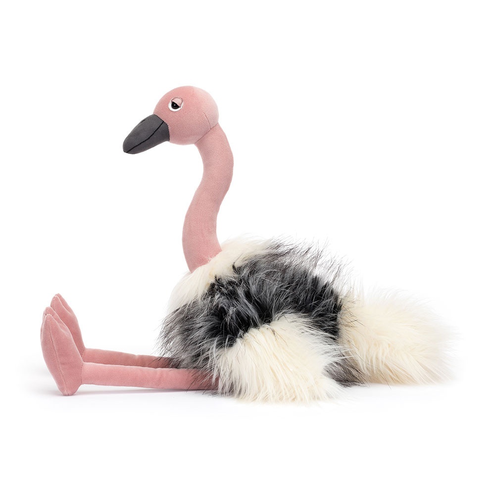 Alternative view of Ramonda Ostrich