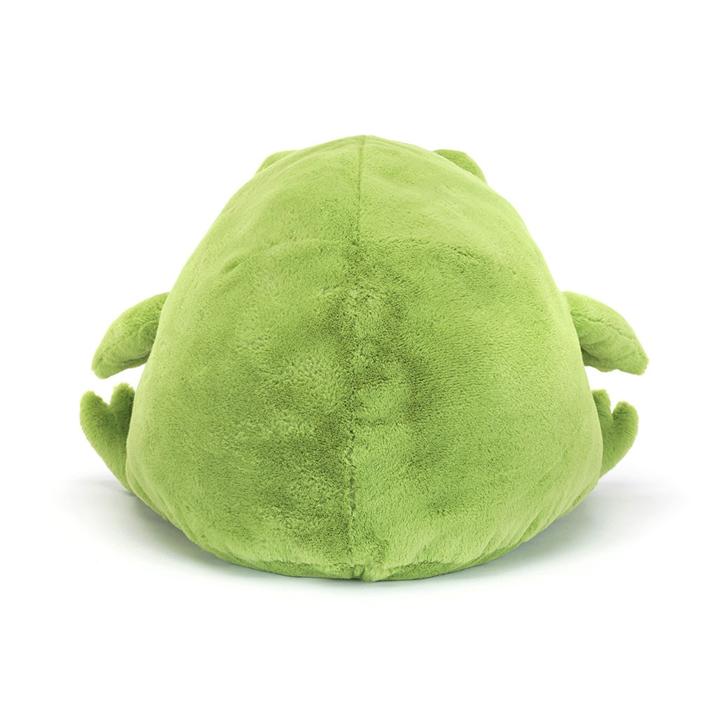 Ricky Rain Frog - Image 9