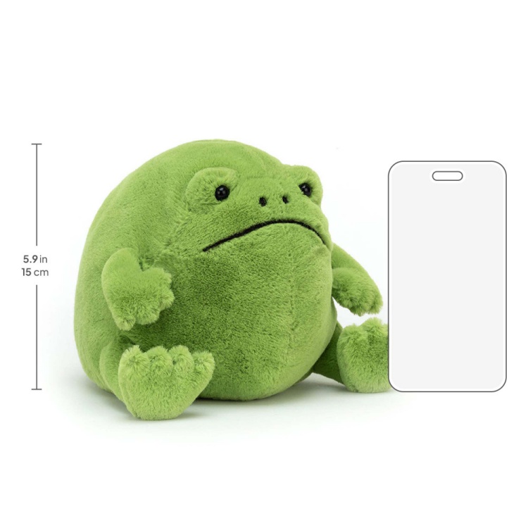 Ricky Rain Frog - Image 16