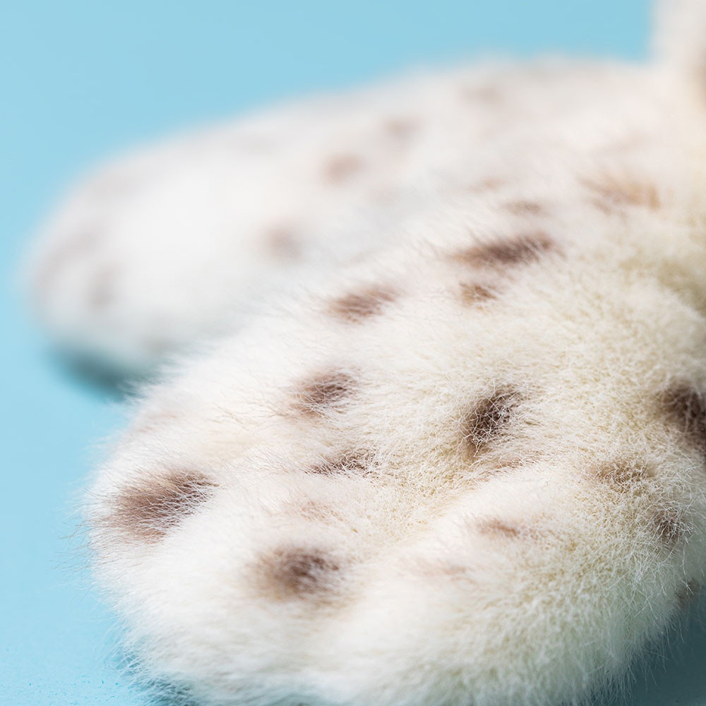 Alternative view of Galumphous Seal