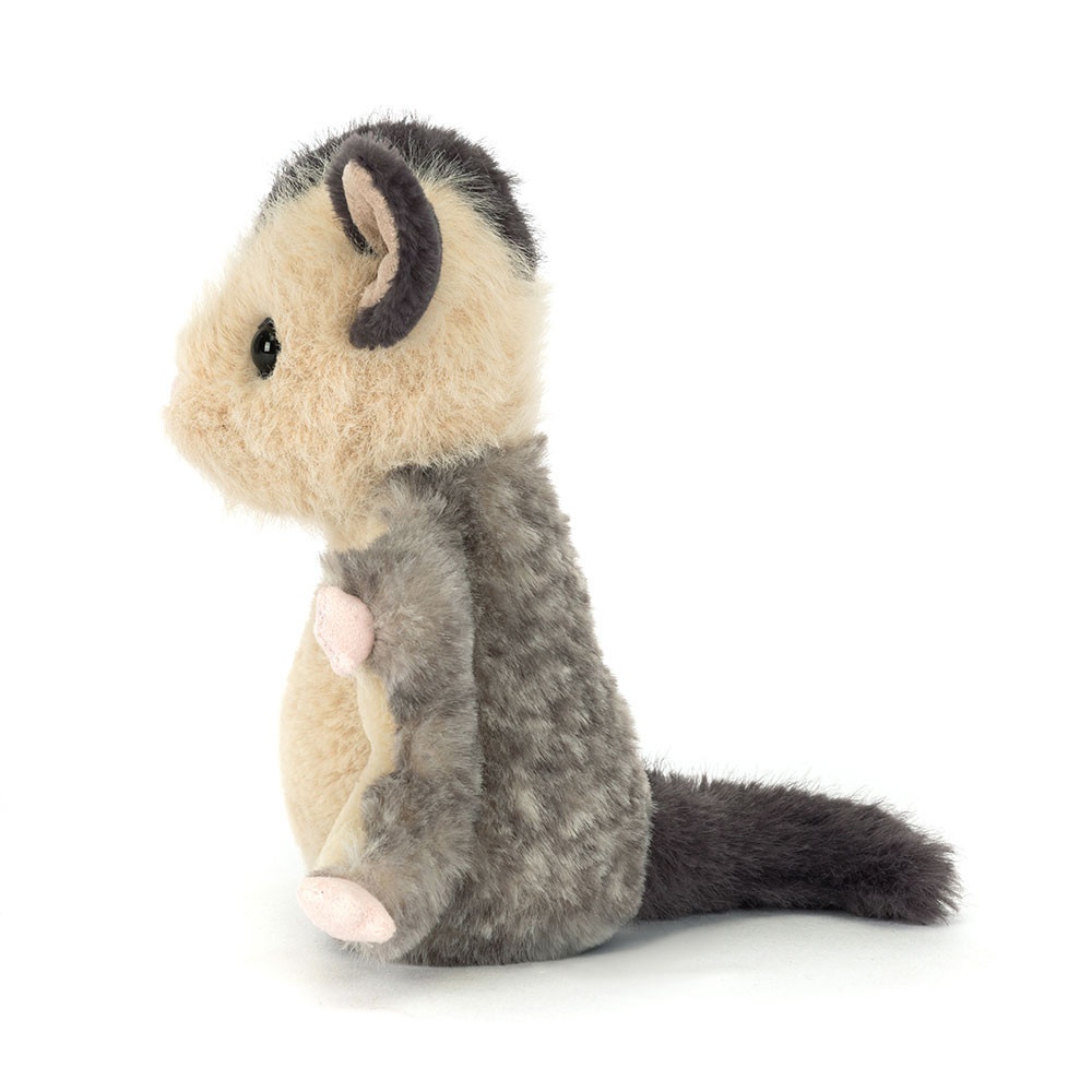 Lolly Sugar Glider - Image 3