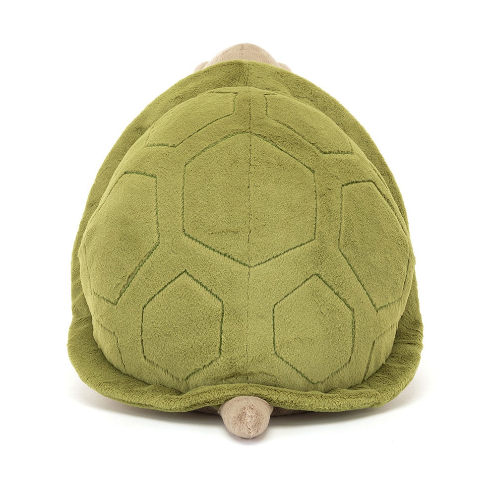 Timmy Turtle - Image 6