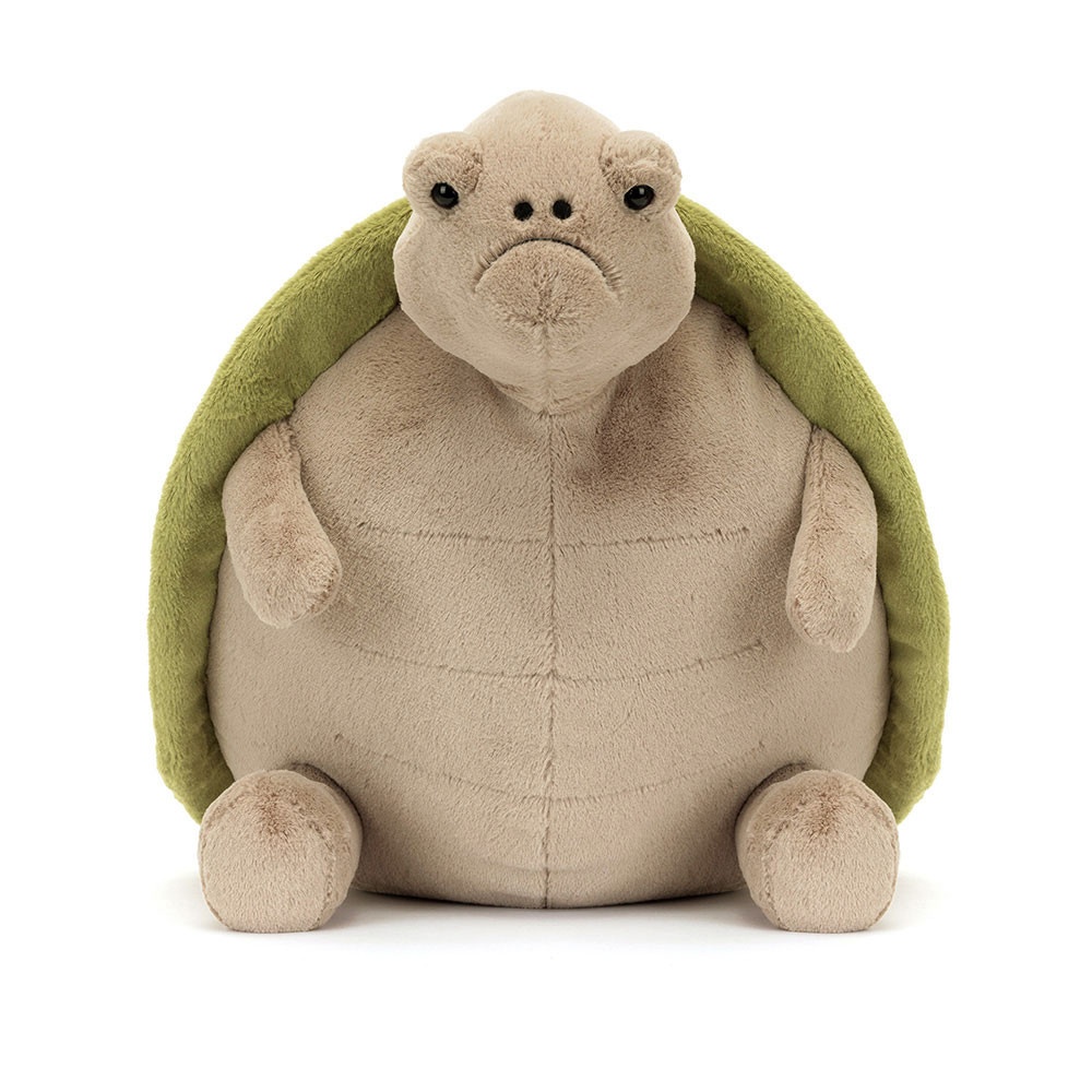 Timmy Turtle - Image 7