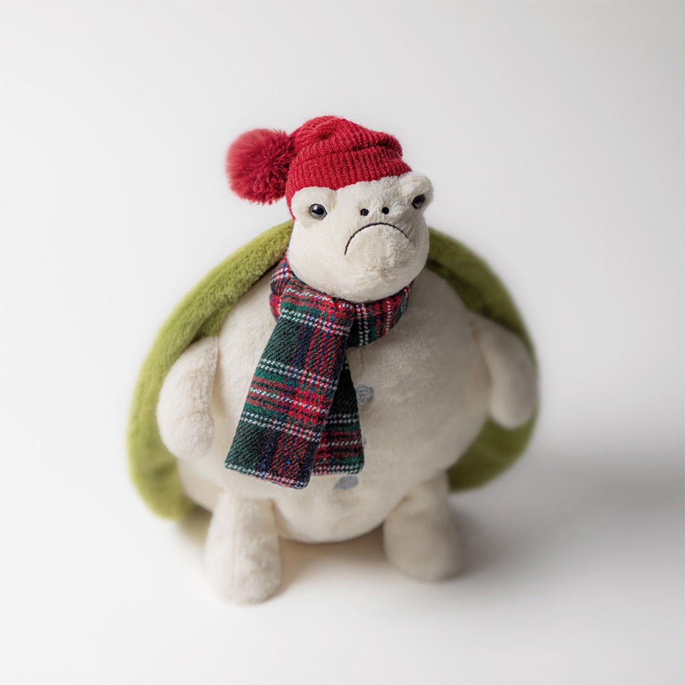 Alternative view of Snowman Timmy Turtle
