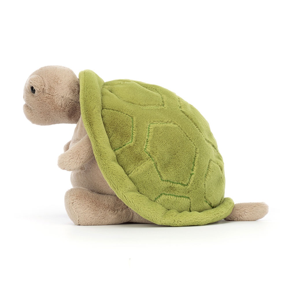 Timmy Turtle - Image 9